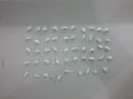 Tráfico de drogas em Tubarão