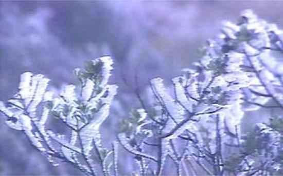Ar polar poderá provocar neve no Sul