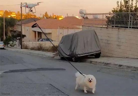 CORONAVÃRUS: homem usa drone para cão passear