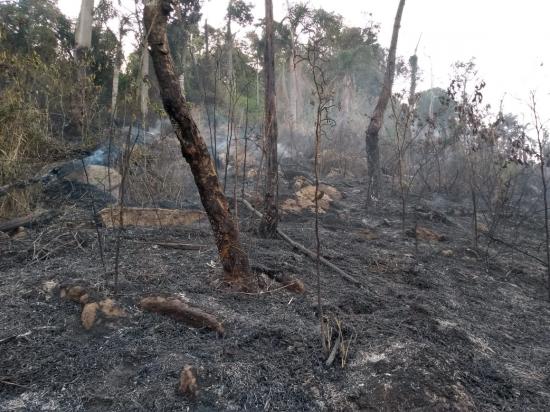 Queimadas em Tubarão, SC.