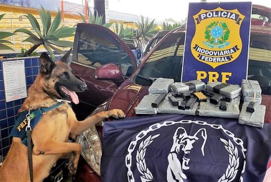 Cão farejador se aposenta da PRF