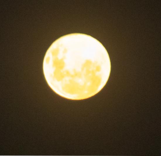 SuperLua 2020